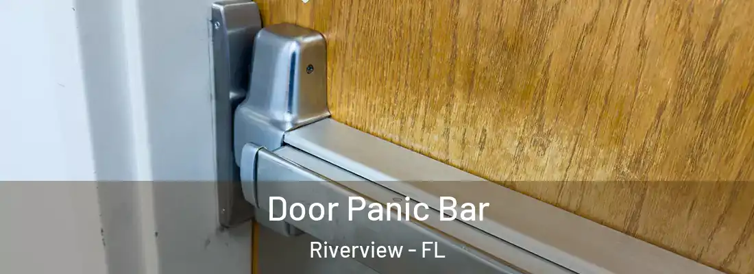  Door Panic Bar Riverview - FL