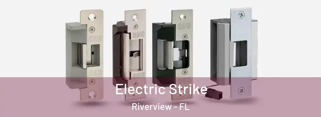  Electric Strike Riverview - FL