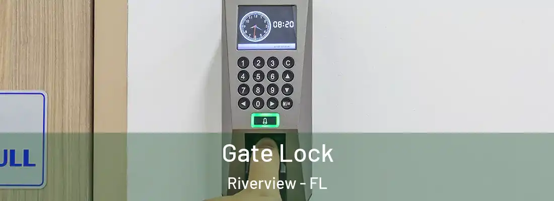  Gate Lock Riverview - FL