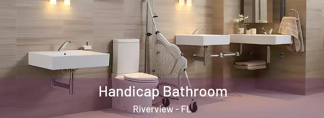  Handicap Bathroom Riverview - FL