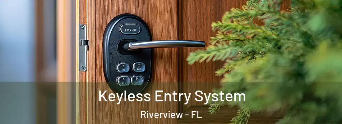  Keyless Entry System Riverview - FL
