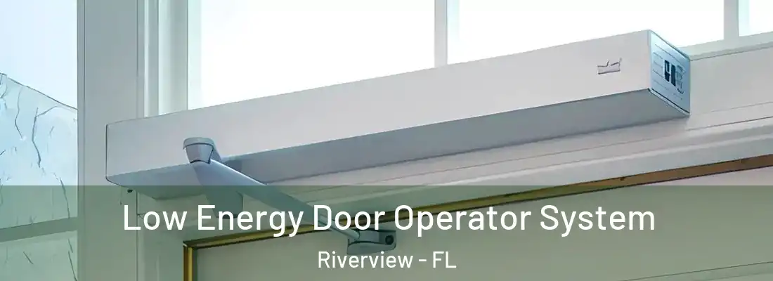  Low Energy Door Operator System Riverview - FL