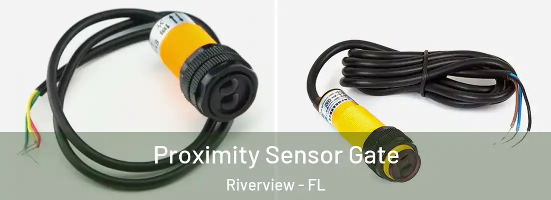  Proximity Sensor Gate Riverview - FL