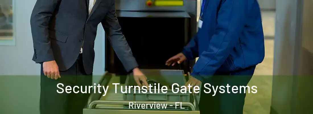  Security Turnstile Gate Systems Riverview - FL